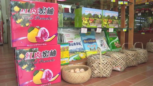 農村電商網紅助力農產品熱銷，促進農民增收致富